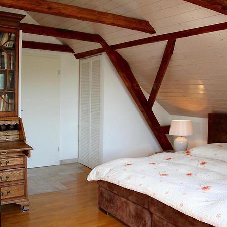Apartment Konigstein Kurort Gohrisch Eksteriør billede